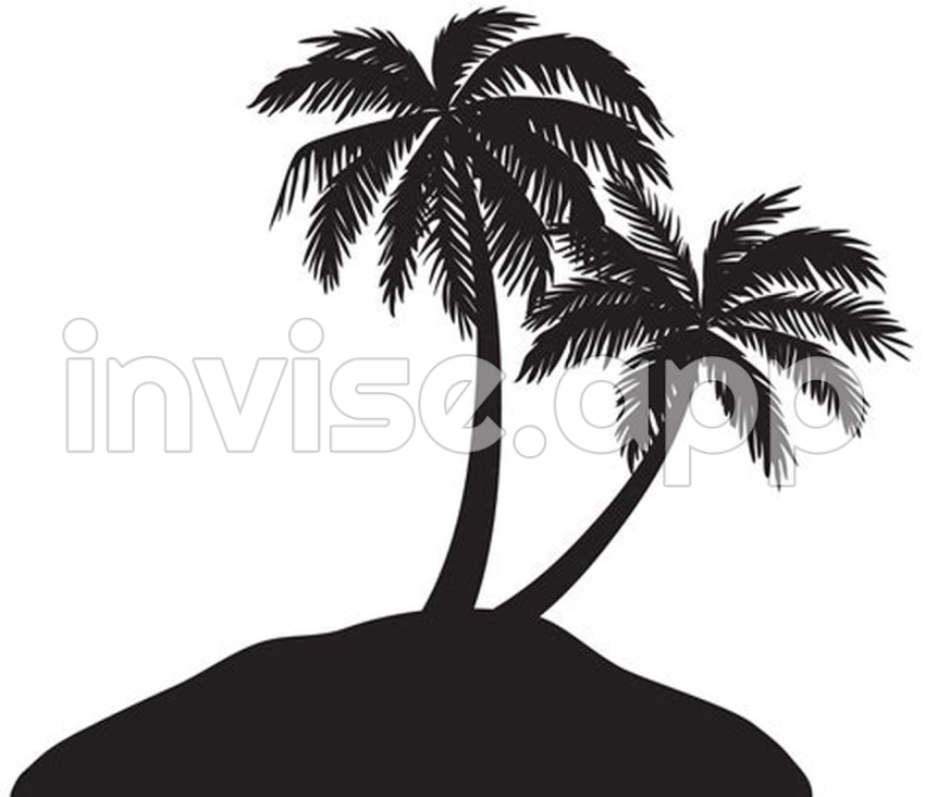 Palm Tree Transparent Image Download, Size 8000X6896Px - All Blacks Flag