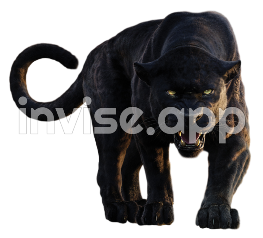 Panther Clipart Mart - Black Panther Animal Art