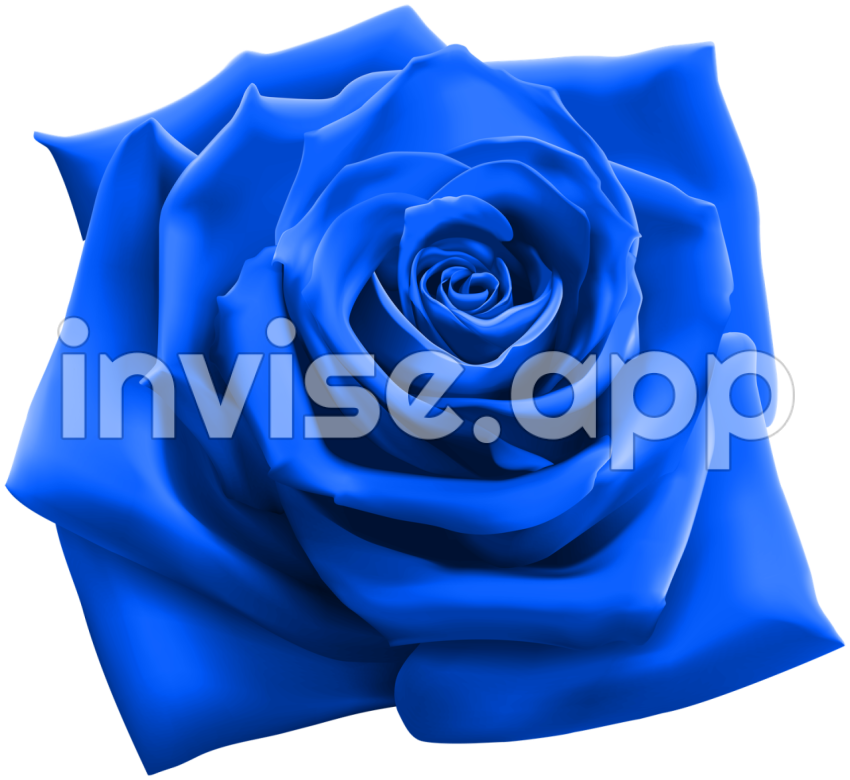 Blue Rose 20 Free Cliparts Download Images On Clipground 2024 - Stream Of Blue Roses