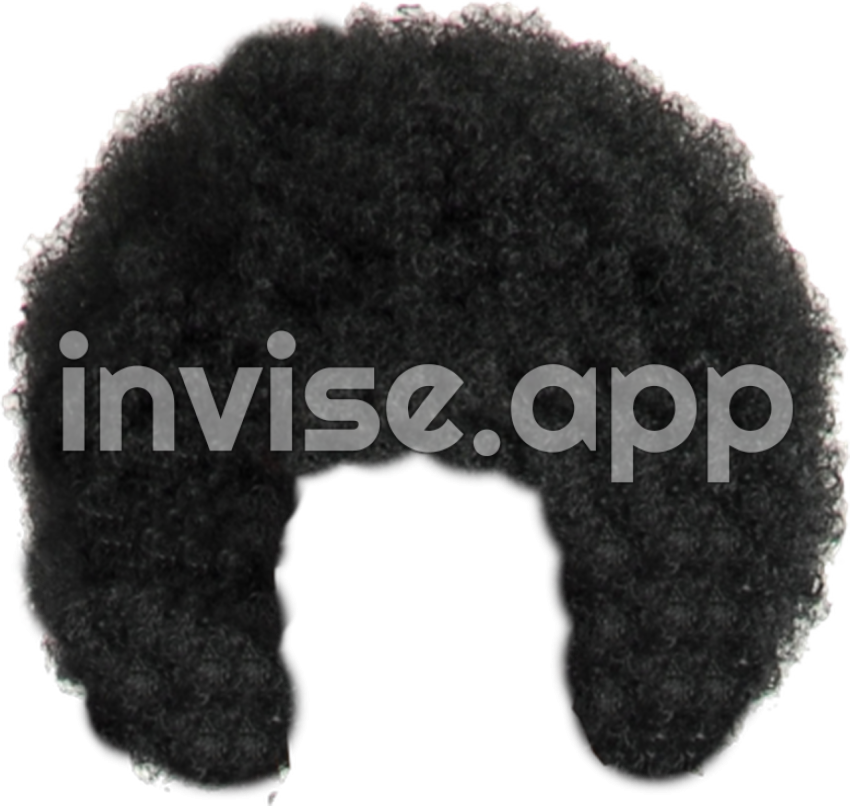 Afro Clip Art - Afro Wig Hair Clip Art Hair Download 400 379 Free Transparent