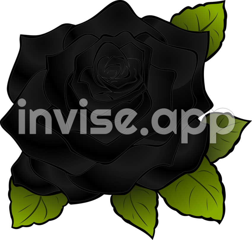 Rose Flower Black Download Free Images - Black Rose Pic