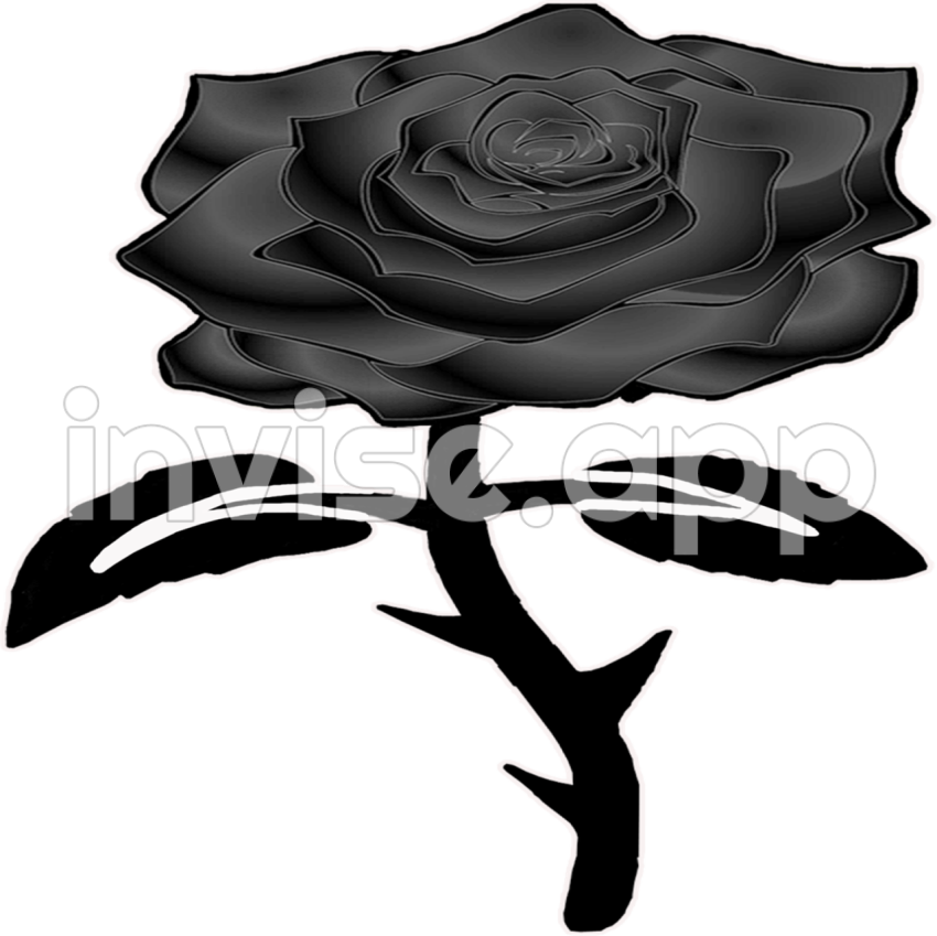 Free Black And White Roses Bouquet, Download Free Clip Art, Free Clip - Black Rose Bouquet