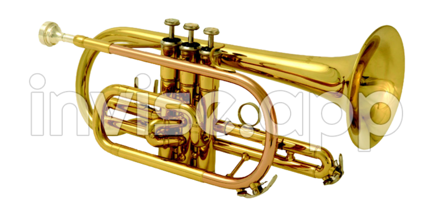 Brass Band Instrument Transparent Images All - Trupet