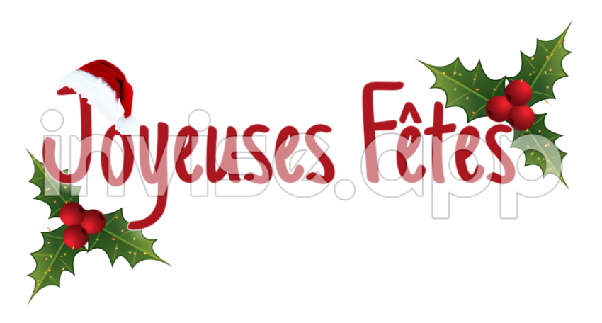 Fêtes De Fin D'Année - Logo Joyeuses Fetes Joyeuses Fetes De Fin Dannee Bojler