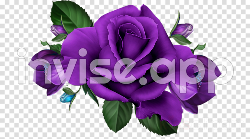 Download Purple Rose Hd Clipart Garden Roses Flower Clip Art - Black And Purple Roses