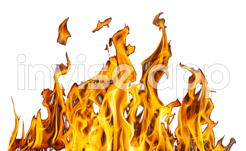 Fire Gif Transparent Fire Gif Images Plus - Bonfire Animation