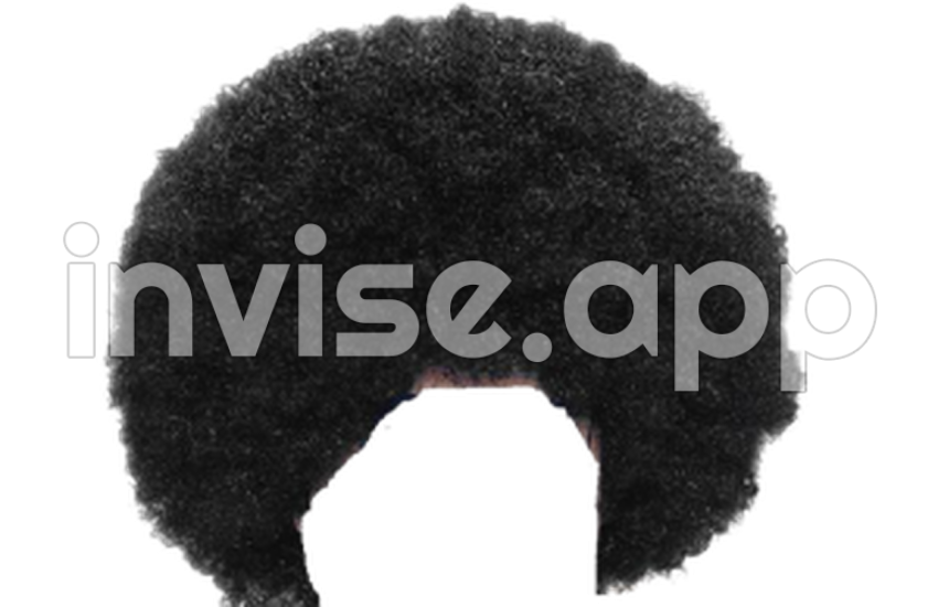 Afro Hair Transparent Background Images Team - Small Curly Afro