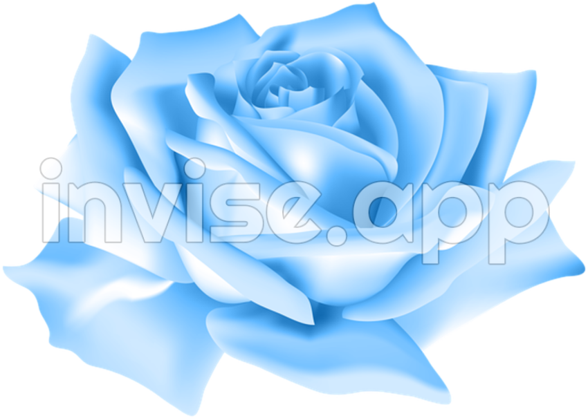 Blue Rose Download Transparent Image - Types Of Blue Roses