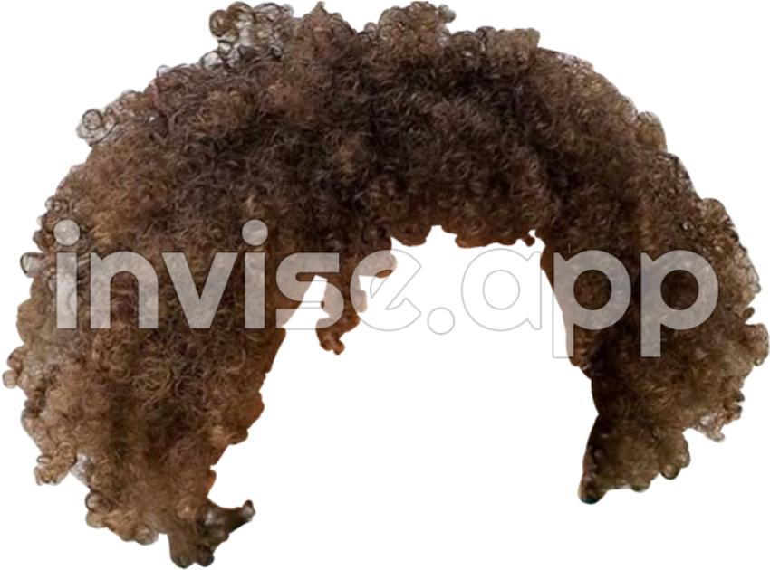 Download Afro Hair , Transparent Vhv - Natural Curly Hair Wigs For Black Women