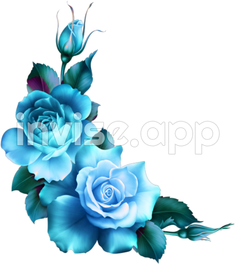 Mq Blue Roses Flowers Flower Rose Border Borders Blue Roses Border - Blue Rose Flower Garden