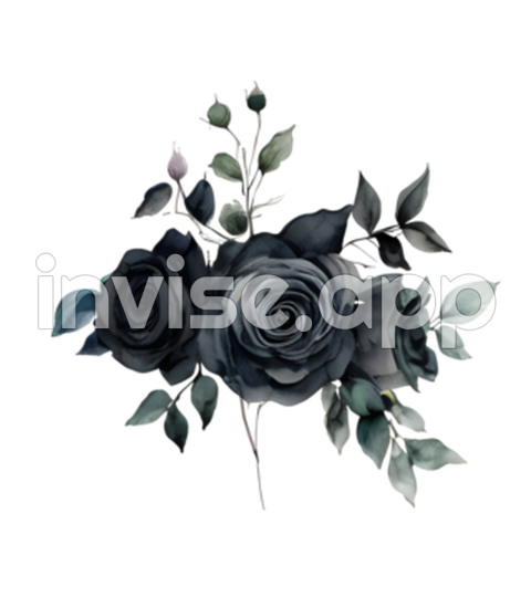 Black Rose Watercolor Elegant Bouquet Transparent Images Free - Black Box Rose