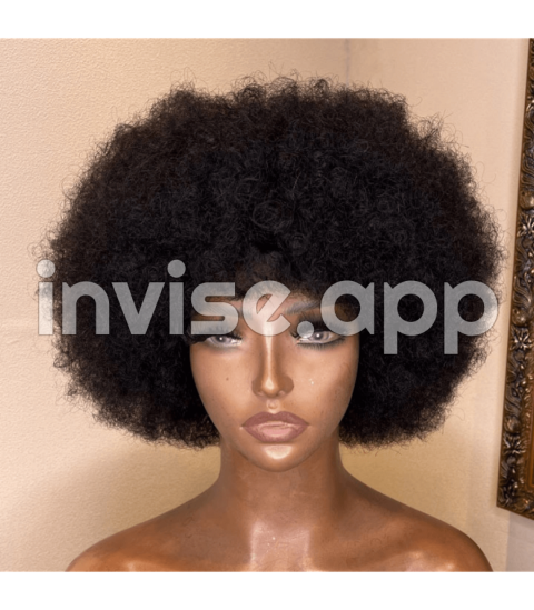 Afro Curls - Brazilian Virgin Afro Curly Human Hair Full Lace Wig For Black Women