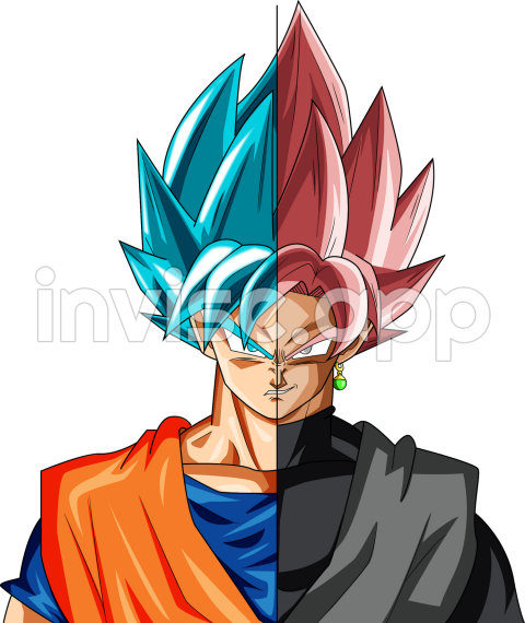 Xicor Vs Goku Black - Goku/ Goku Black Collab W/ Al3X796 By Dragonballaffinity On Deviantart