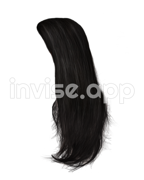 Black Hair Wig Hairstyle Long Hair Hair 11 Download 1024 - Black Hair Colour