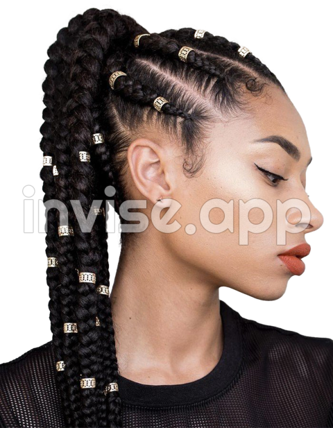 Download Braid Image High Quality Hq Image Freeimg - Black Girls Hair Braids Styles