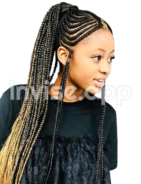 Braid Download Free Transparent Hq Download Freeimg - Black Hair Braids