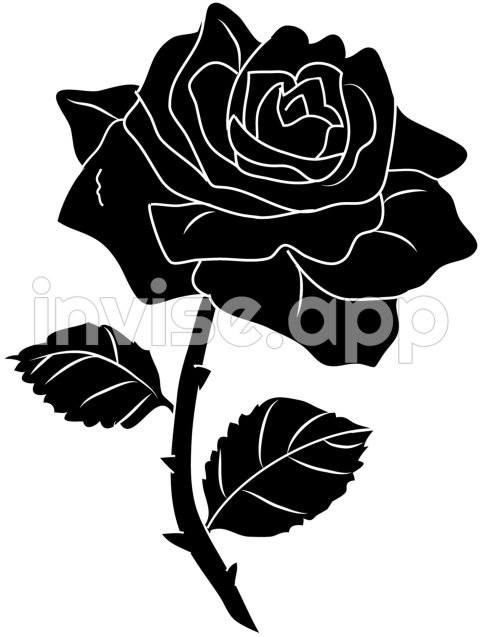 Black Rose Plant - Black Rose Desktop Wallpaper Clip Art Black Posters Download