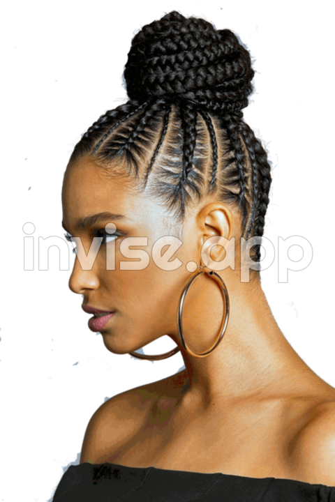 Black Hair Braids - Short Braid Hair Style () Official Psds