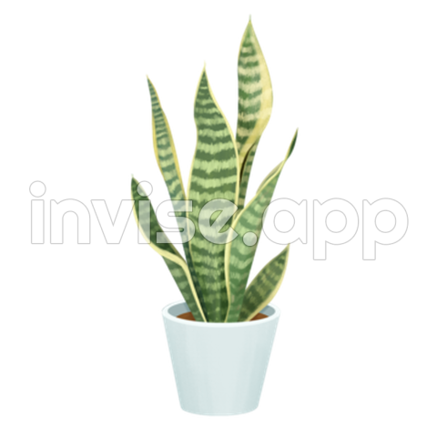 Smoke Plant - Snake Plant , Vector, Psd, And Clipart With Transparent Background For Free Download Tree