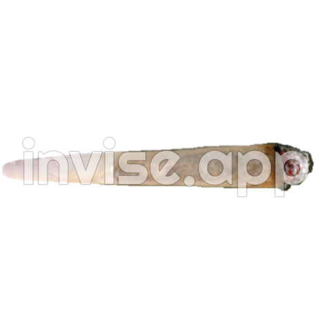 Smoke, Blunt, Weed Joint Transparent Background, Free Download 42505 Freeicons - Blunts Weed Smoke