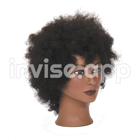 Afro Black Hair Mannequin Wig Afro Download 1500 1500 Free - Braided Lace Front Wigs