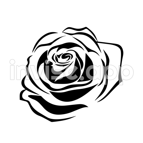 Rosa Black And White - Art Rose Tattoo Download 2000 2000 Free Transparent Art