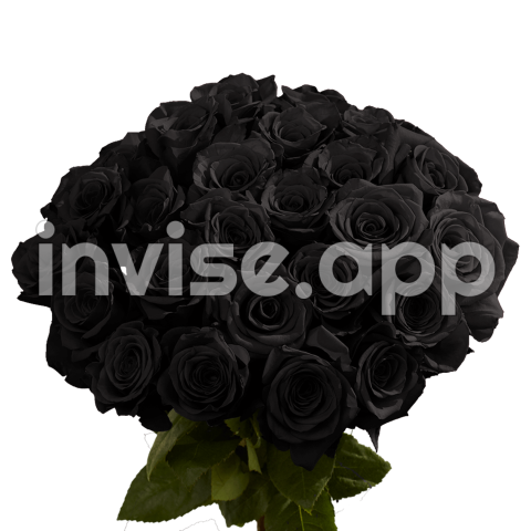 Online Black Roses For Sale Black Rose Bouquet, Rose Color Meanings - 200 Roses Bouquet