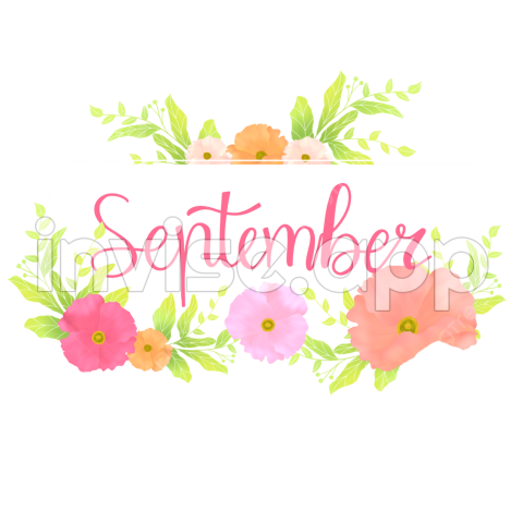 Promo Bulan September - Gambar Bunga September, September, Bunga, Halo September Transparan