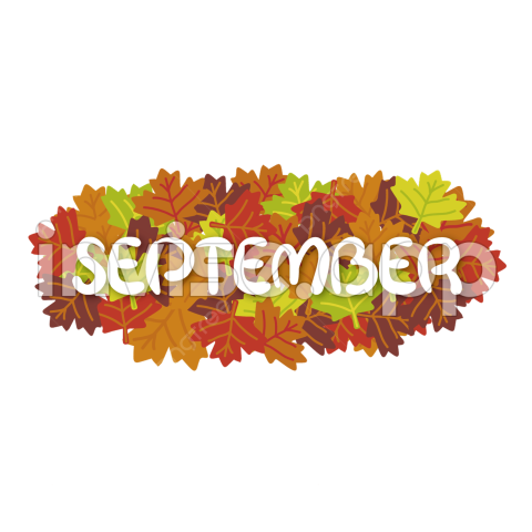 September Promotion - September Leaves Vector Art , Yellow Autumn Leaves Background