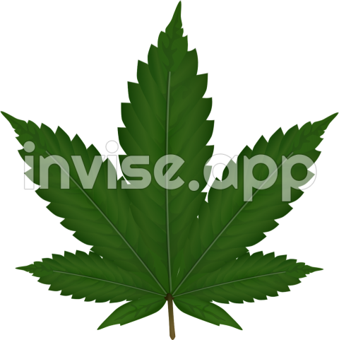 Smoke Weed Pfp - Smoke Weed , Smoke Weed Transparent Free For Download On Webstockreview 2024