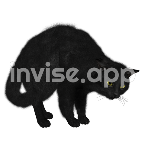 Black Smoke Cat - Black Cat Image Transparent Hq Download Freeimg